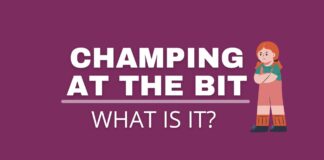 Champing at the bit featured image from Capitalize My Title.
