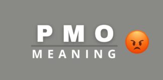 PMO meaning featured image from Capitalize My Title