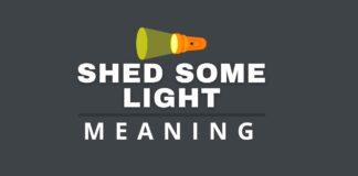 Shed some light featured image