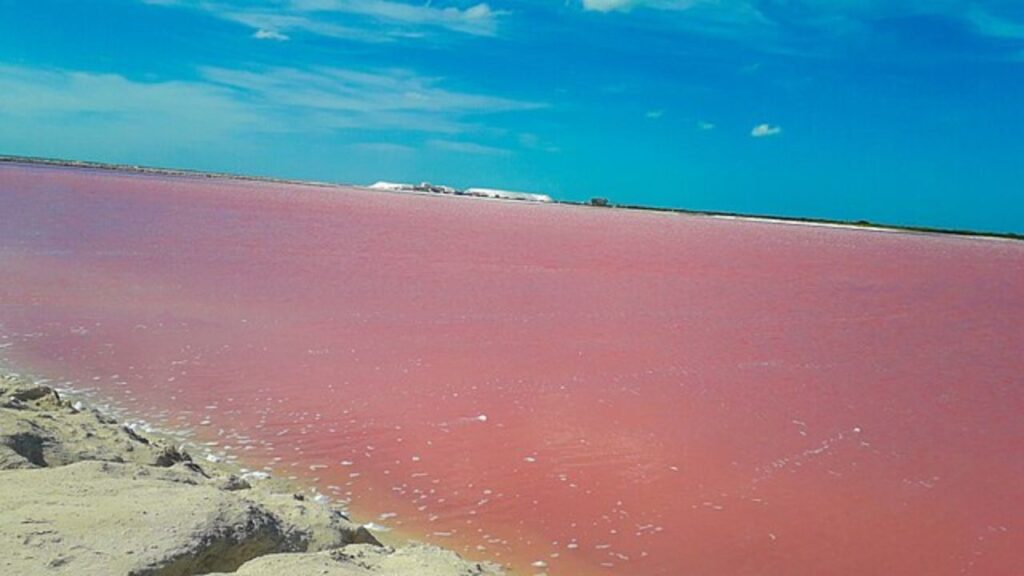 Ai Las Coloradas