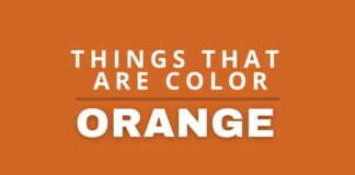 Things that are color orange featured image.