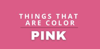 Things that are color pink featured image
