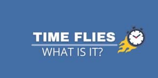 Featured image with text time flies meaning