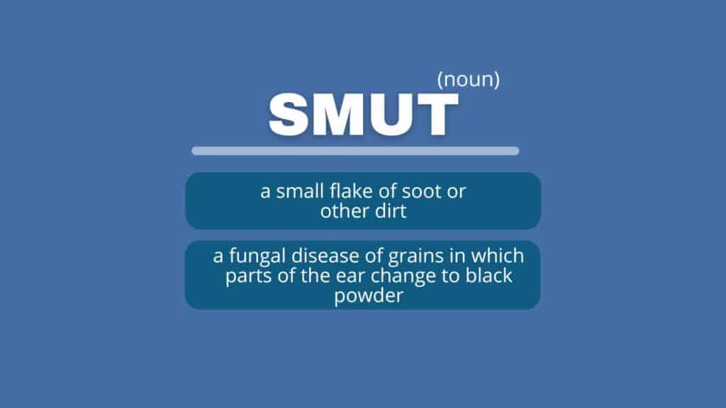 Photo showing the meaning of the word smut