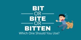 featured image for bit or bite or bitten article from Capitalize My Title.