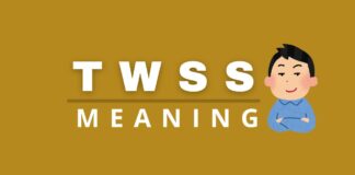 Featured image with TWSS meaning text.