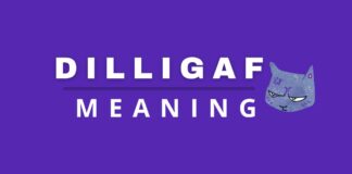 Fi Dilligaf