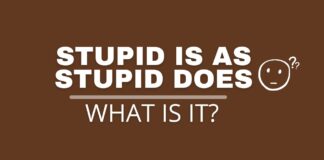 Featured image with stupid is as stupid does text.