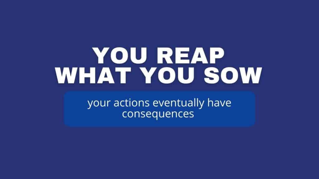 Photo showing what the proverb you reap what you sow 