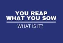 Featured image with you reap what you sow text