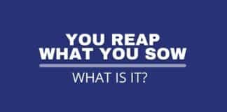 Featured image with you reap what you sow text