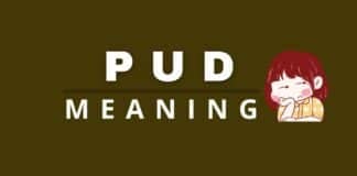 Featured image with pud meaning text.