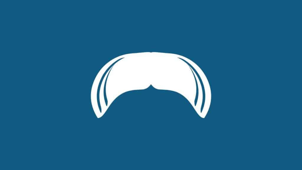 Photo showing what a walrus beard looks like