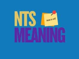 Featured image for Capitalize My Title's guide about the NTS meaning