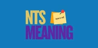 Featured image for Capitalize My Title's guide about the NTS meaning
