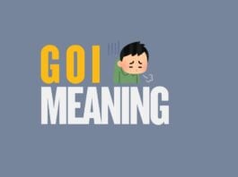 Featured image for Capitalize My Title's GOI meaning guide