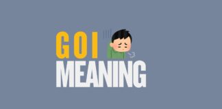 Featured image for Capitalize My Title's GOI meaning guide