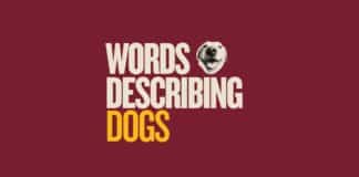 Featured image for Capitalize My Title's words describing dogs.