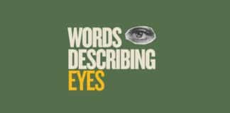 Featured image for Capitalize My Title's words to describe eyes post.