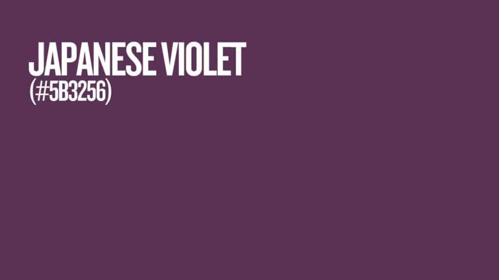 Photo showing the color of japanese violet #5B3256