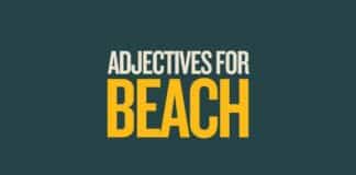 Featured image for Capitalize My Title's describing words for a beach
