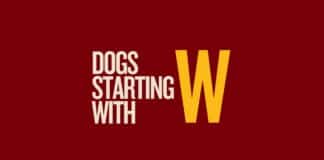 Featured image for Captialize My Title's dogs that start with w post