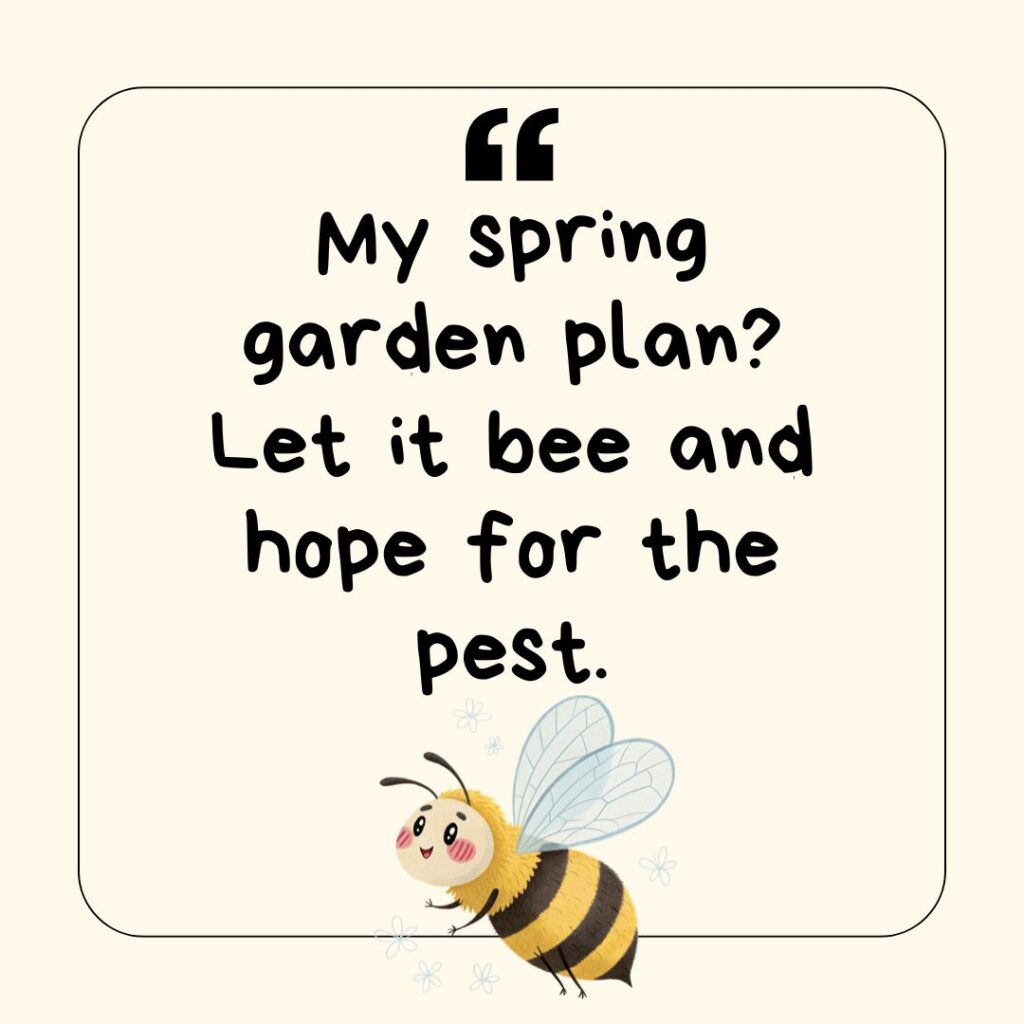 A photo showing a pun about spring