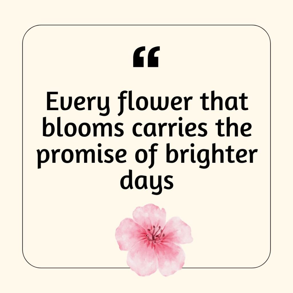 Photo showing a Spring saying about flowers