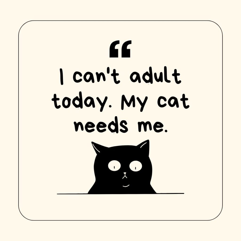 Photo showing a cat-related caption for social media
