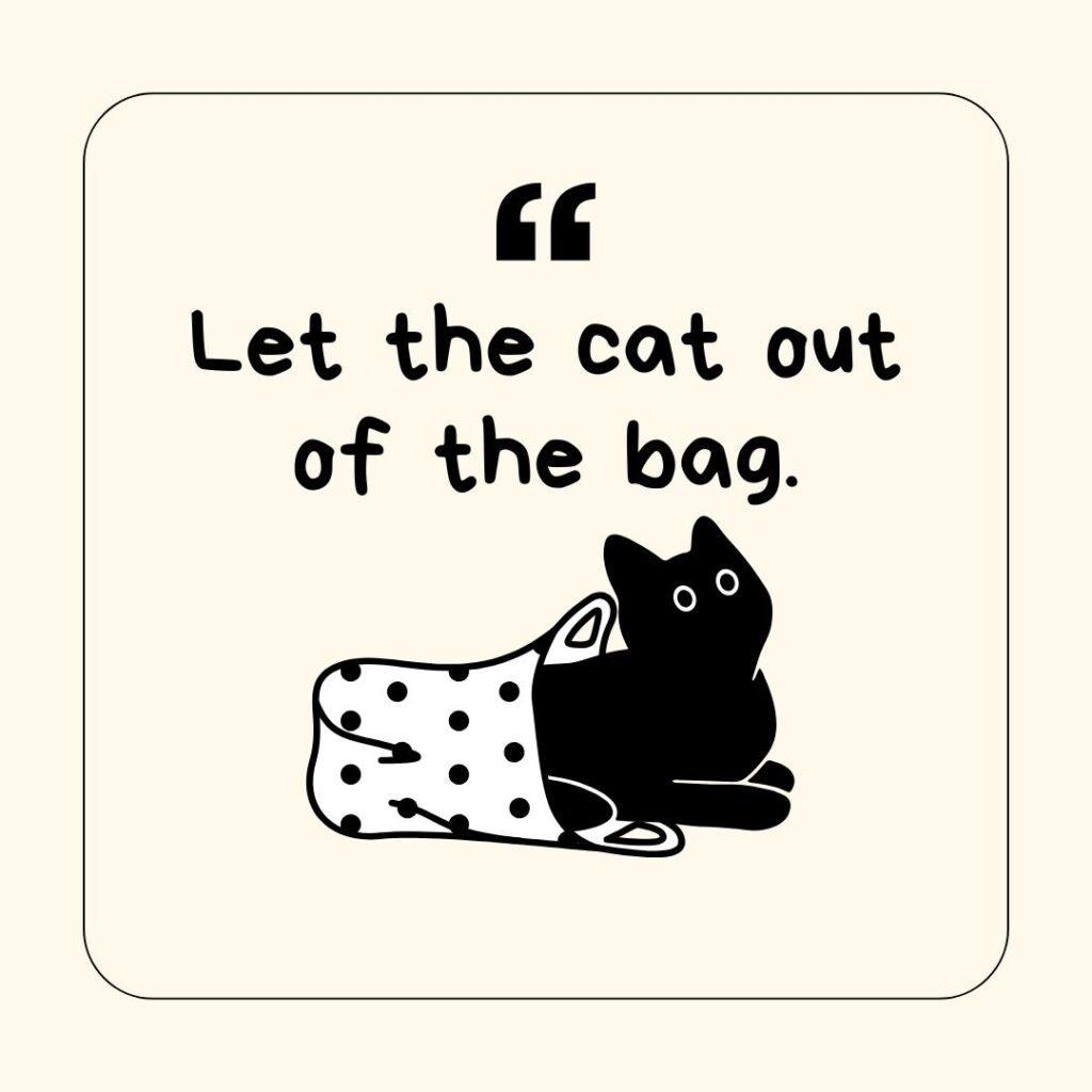 Photo showing a cat-related idiom