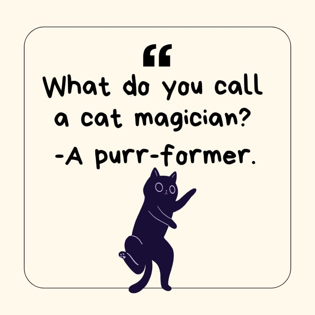 Photo showing a cat joke