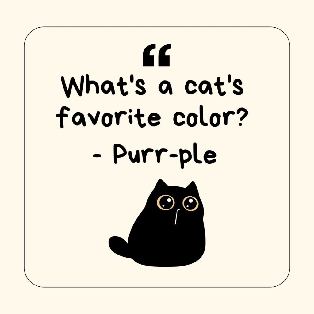 Photo showing a cat joke