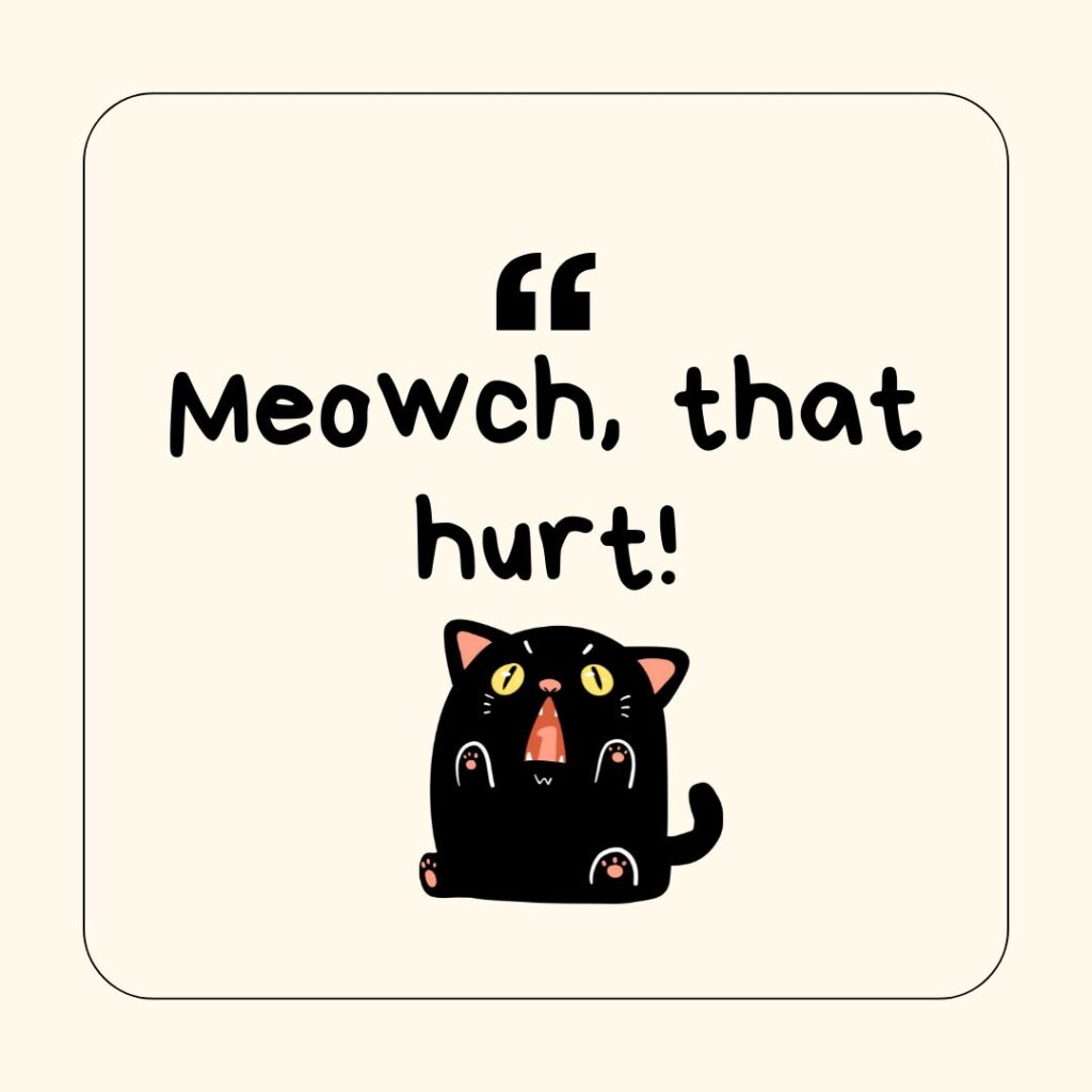 Photo showing a cat-related pun