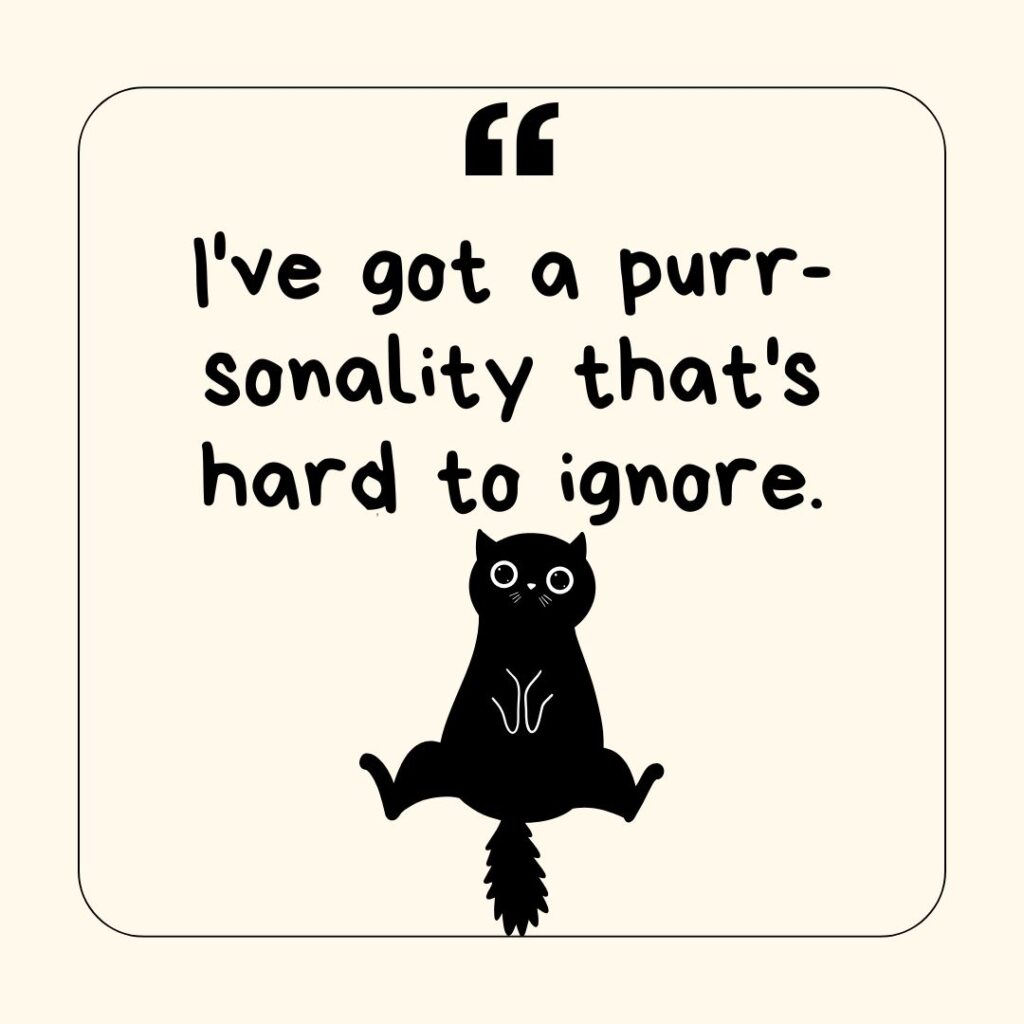 Ai Photo showing a cat-related pun