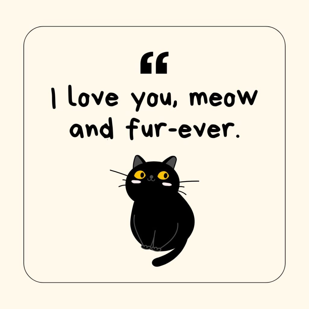 Photo showing a cat-related pun
