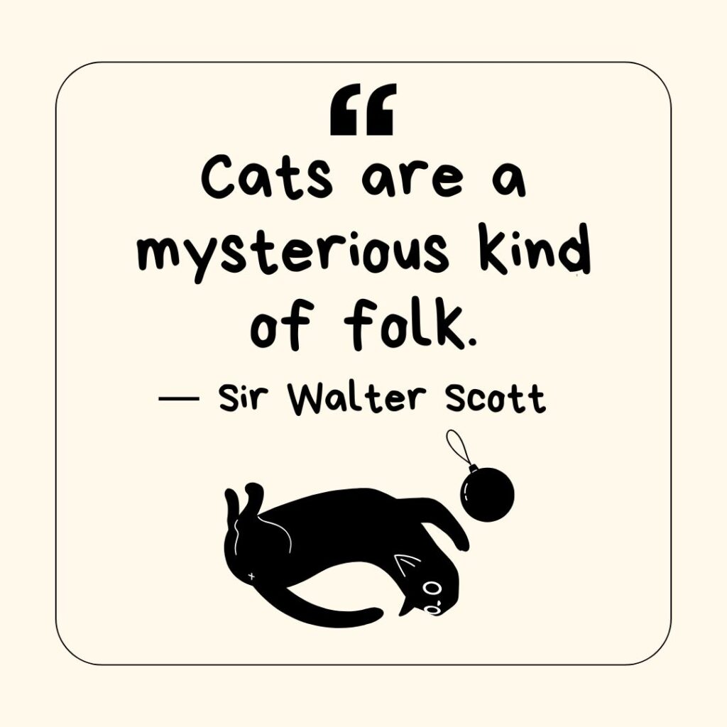 Photo showing a quote about cats