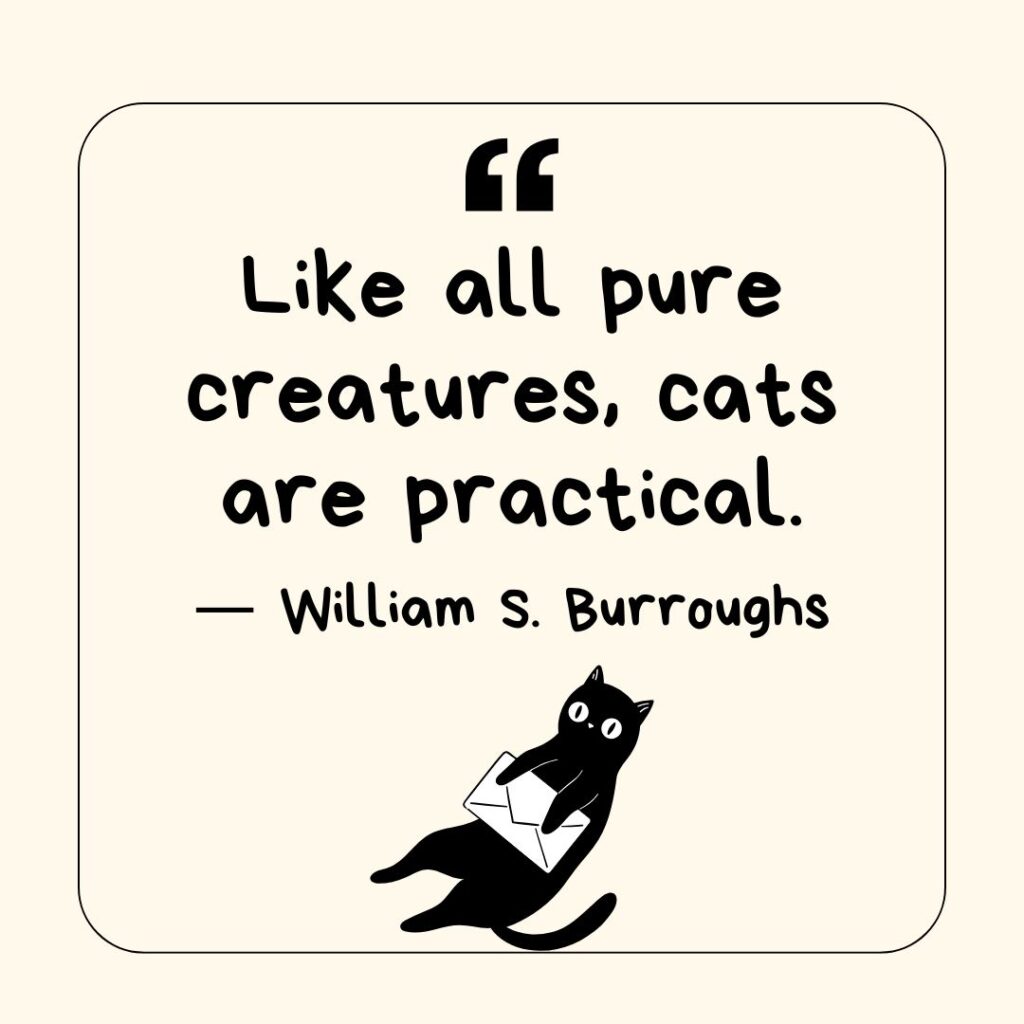 Photo showing a quote about cats