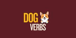 Capitalize My Title's featured image about dog verbs.