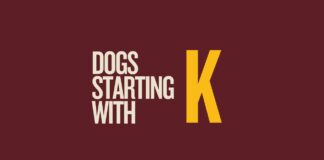 Featured image for Capitalize My Title's dogs that start with k