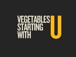 Capitalize My Title's featured image for vegetables that start with u