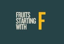 Capitalize My Title's featured image for fruit starting with f