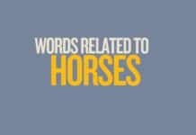 Featured image for Capitalize My Title's words for horse