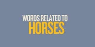 Featured image for Capitalize My Title's words for horse