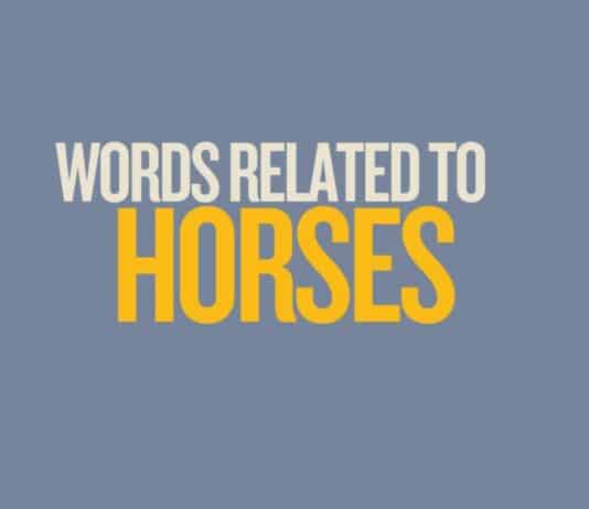 Featured image for Capitalize My Title's words for horse